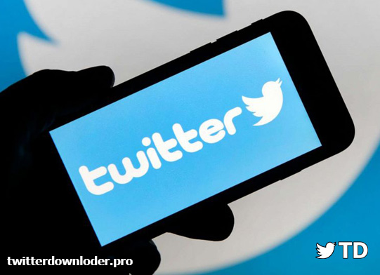 Best of Twitter Downloader Features